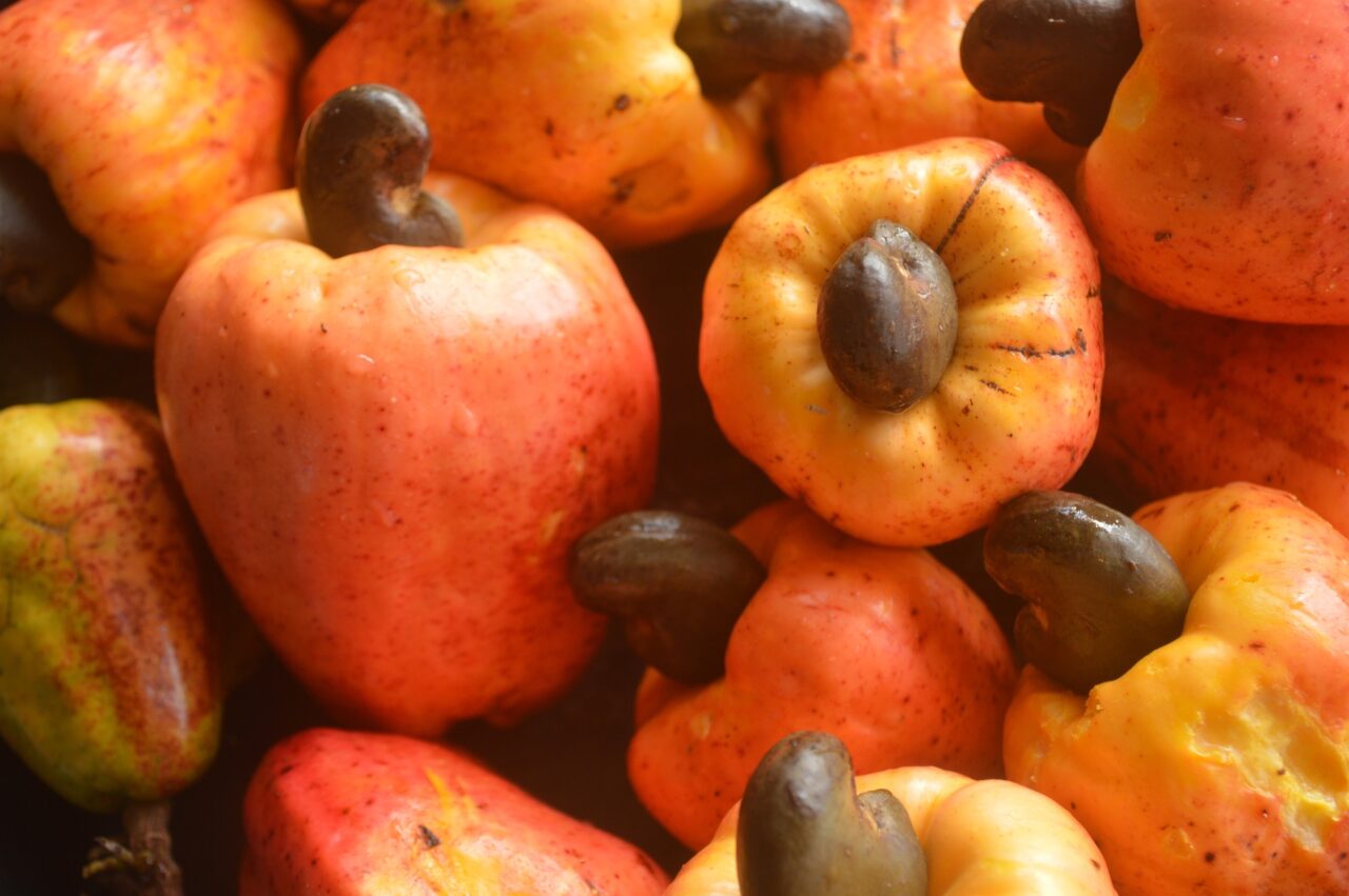 What Does a Cashew Apple Taste Like? - Global Cashew Marketplace