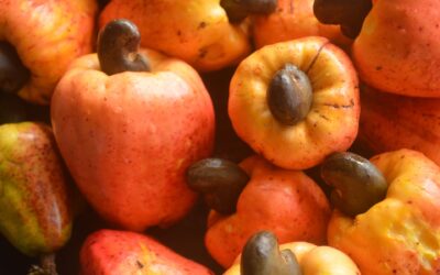 Beyond the Nut: Exploring the Versatility of Cashew Apple in Culinary Delights