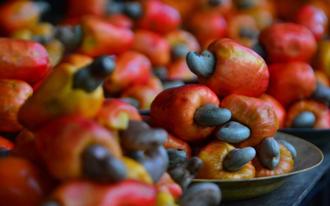 Beyond the Nut: Exploring the Delicious World of Cashew Fruit