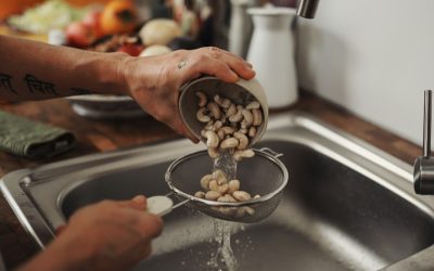 The Nutty World of Cashews: How They are Sorted and Graded